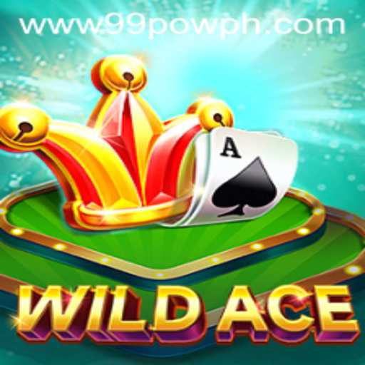 Unleashing Adventure: An In-Depth Look at WildAce